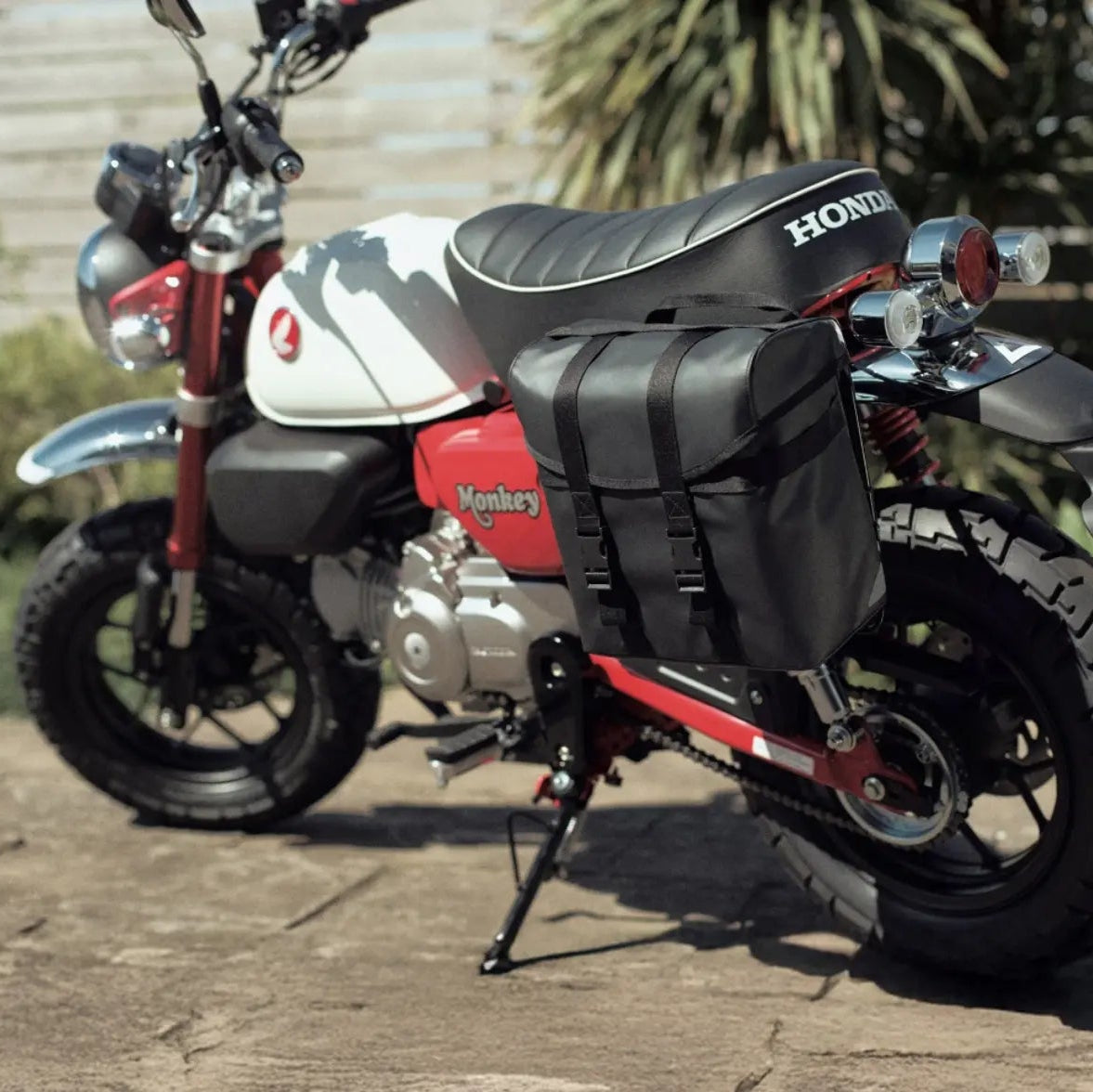 Monkey - Motoboxe