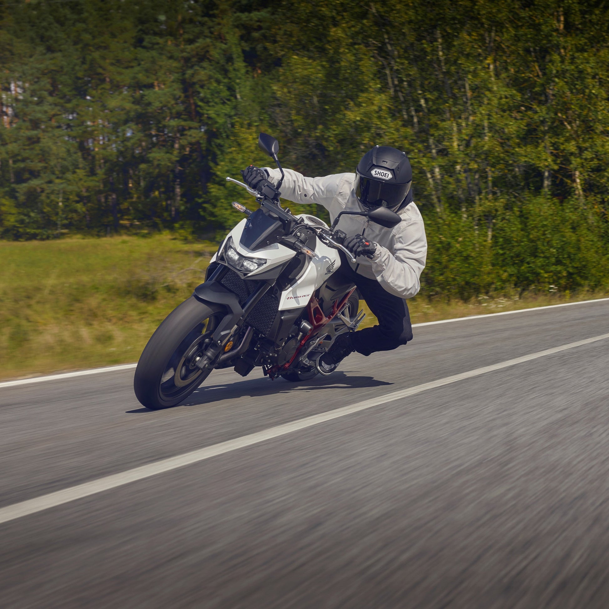 CB750 Hornet - Novo Modelo - Motoboxe