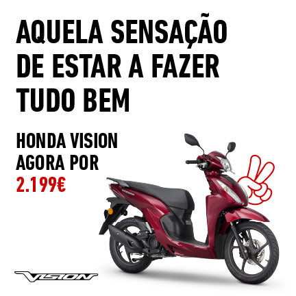 Vision 110
